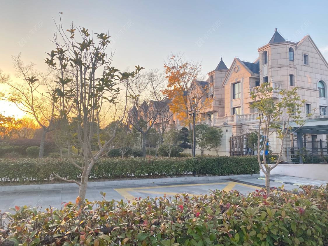 上海璟储新和湾别墅区小区_璟储新和湾别墅区小区实景图