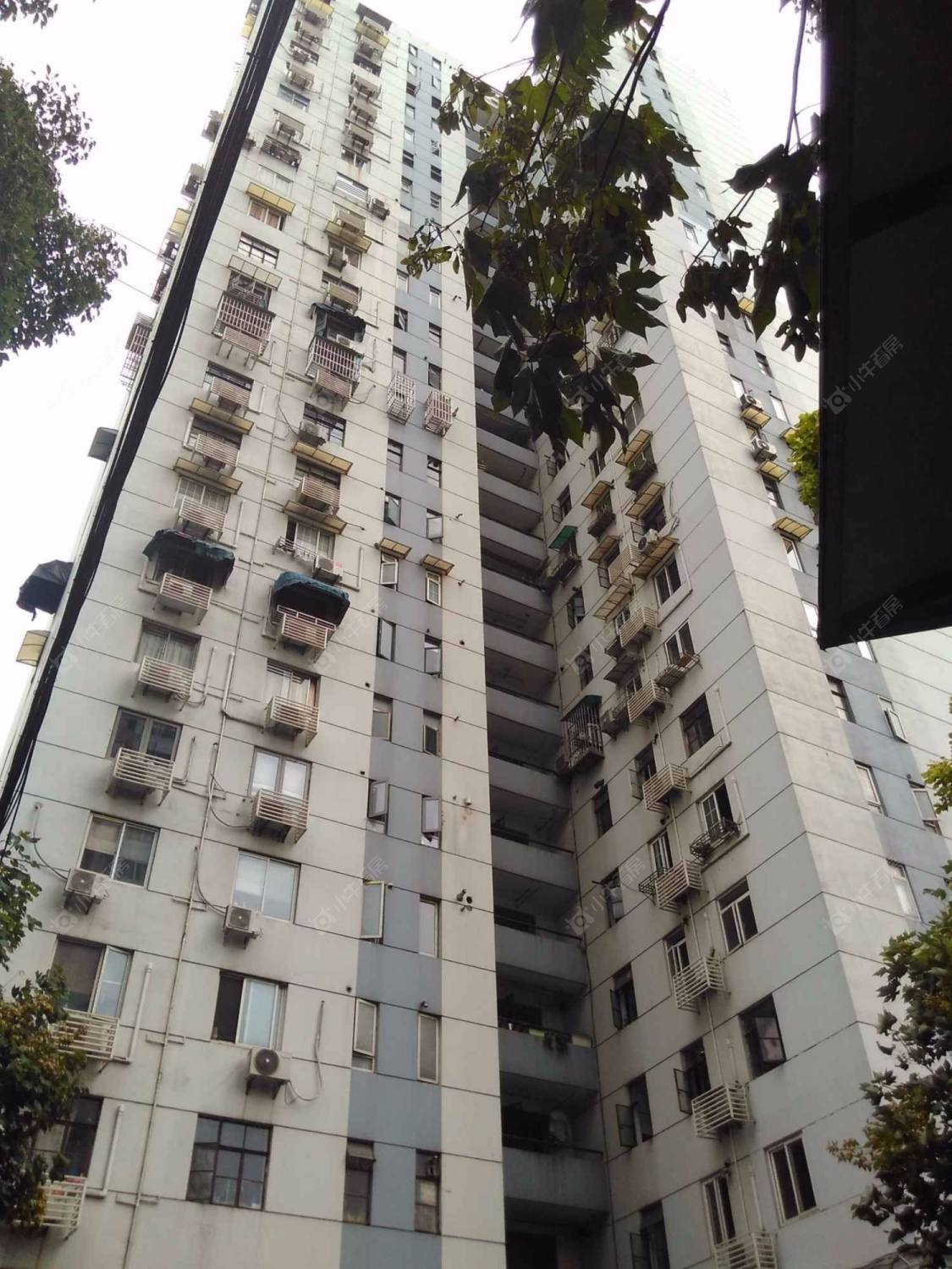 上海东五小区(虹口)小区_东五小区(虹口)小区null