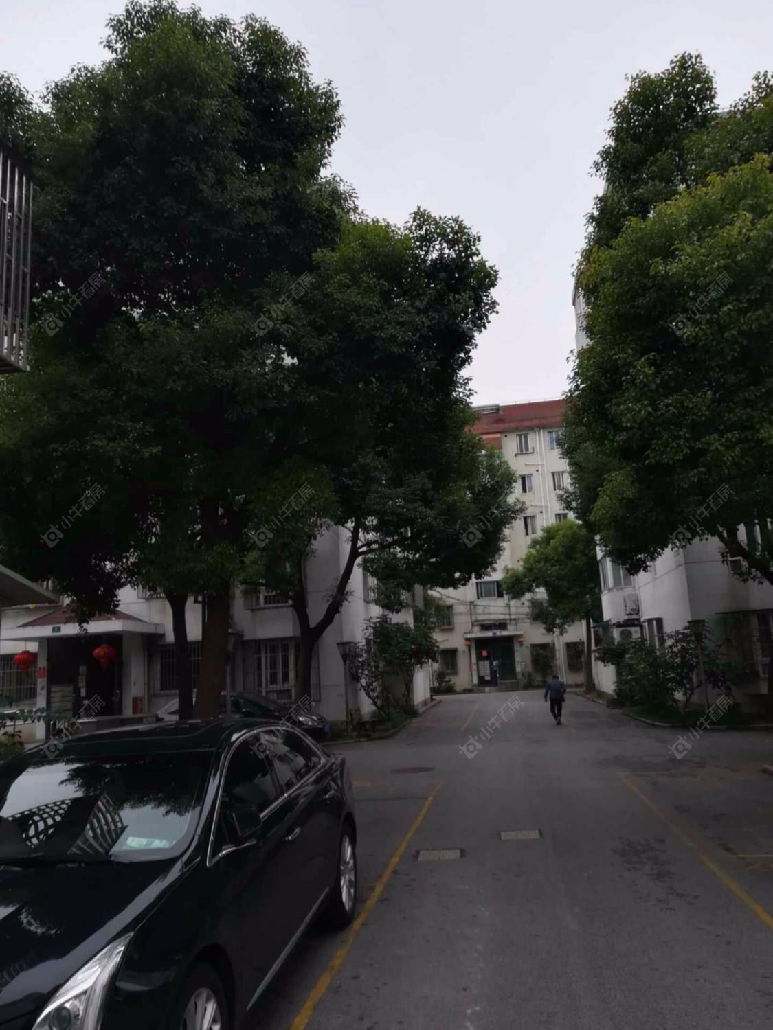 上海杨园四村北区小区_杨园四村北区小区null