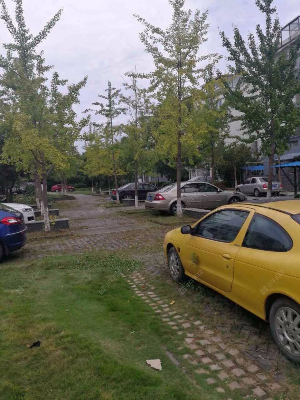 上海泰安公寓二期小区_泰安公寓二期小区null