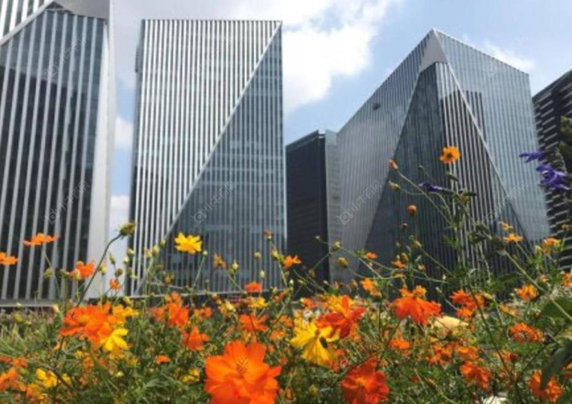 上海晶耀名邸二期小区_晶耀名邸二期小区null