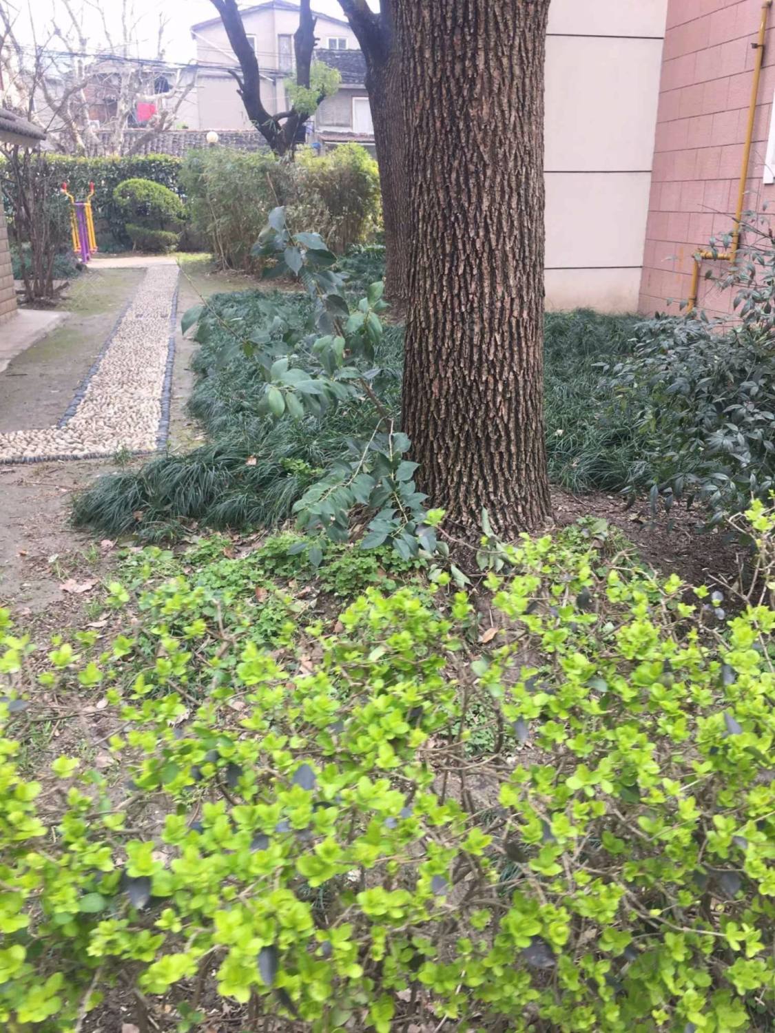 上海广盛公寓小区_广盛公寓小区null