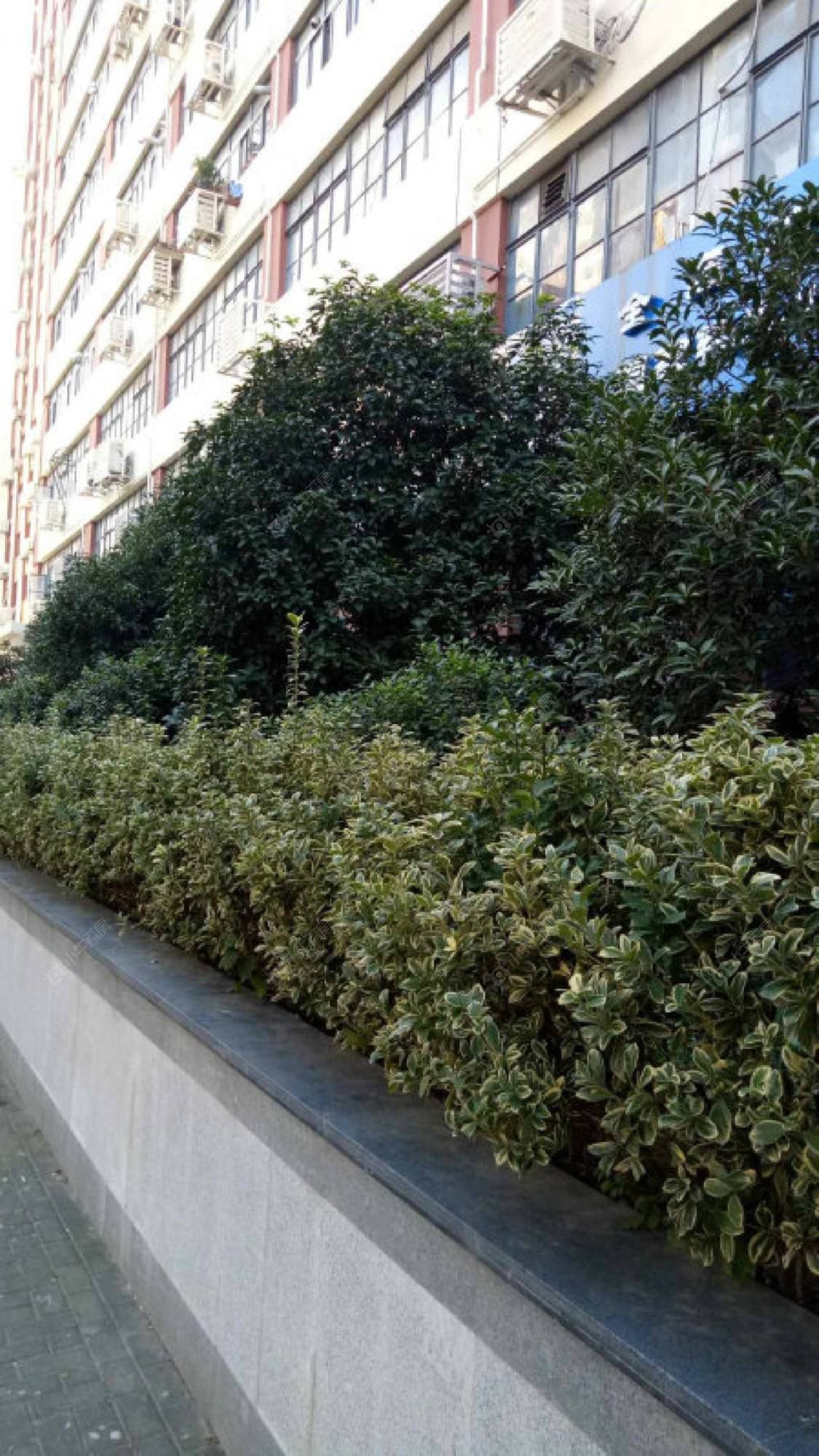 上海永兴小马路小区_永兴小马路小区实景图