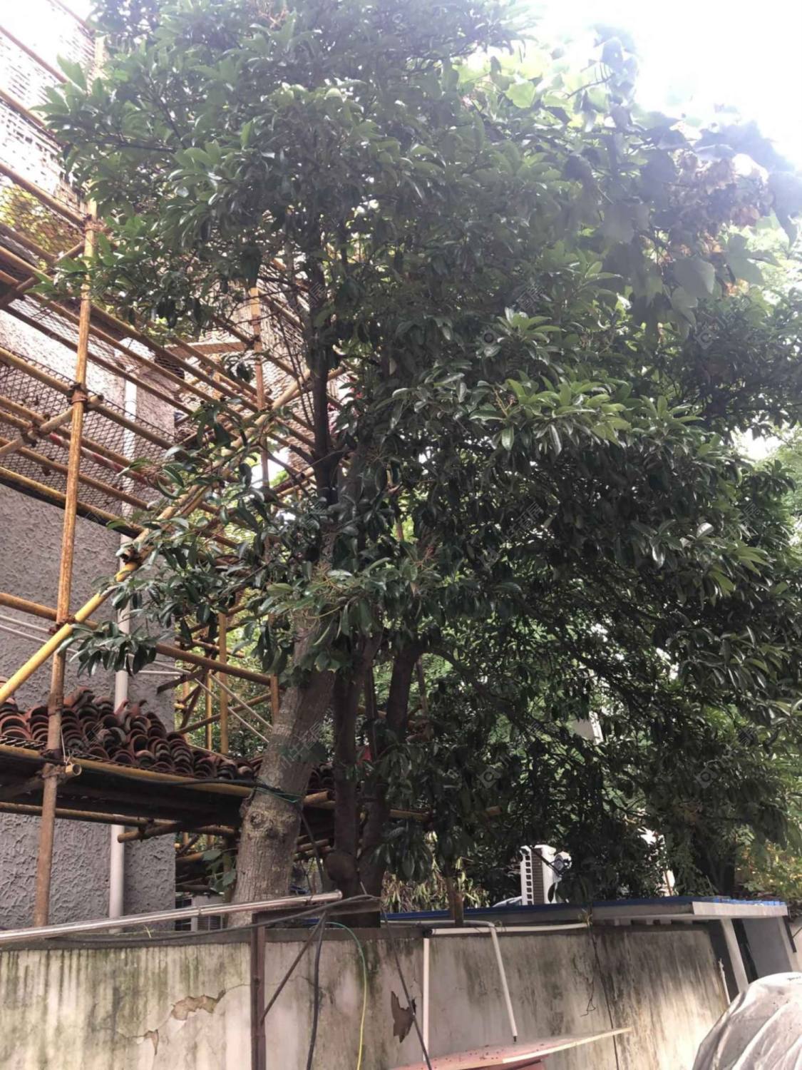 上海建国西路365弄小区_建国西路365弄小区null