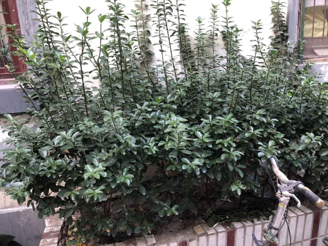 上海保康里小区_保康里小区null