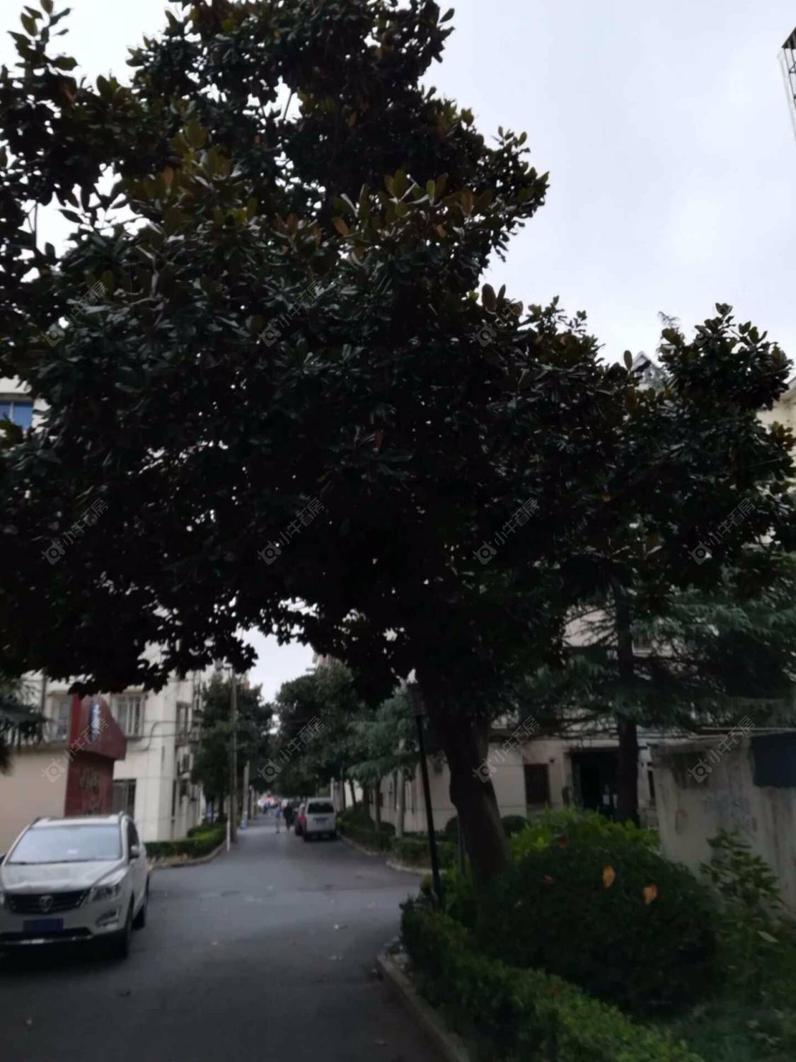 上海潼港一村小区_潼港一村小区null