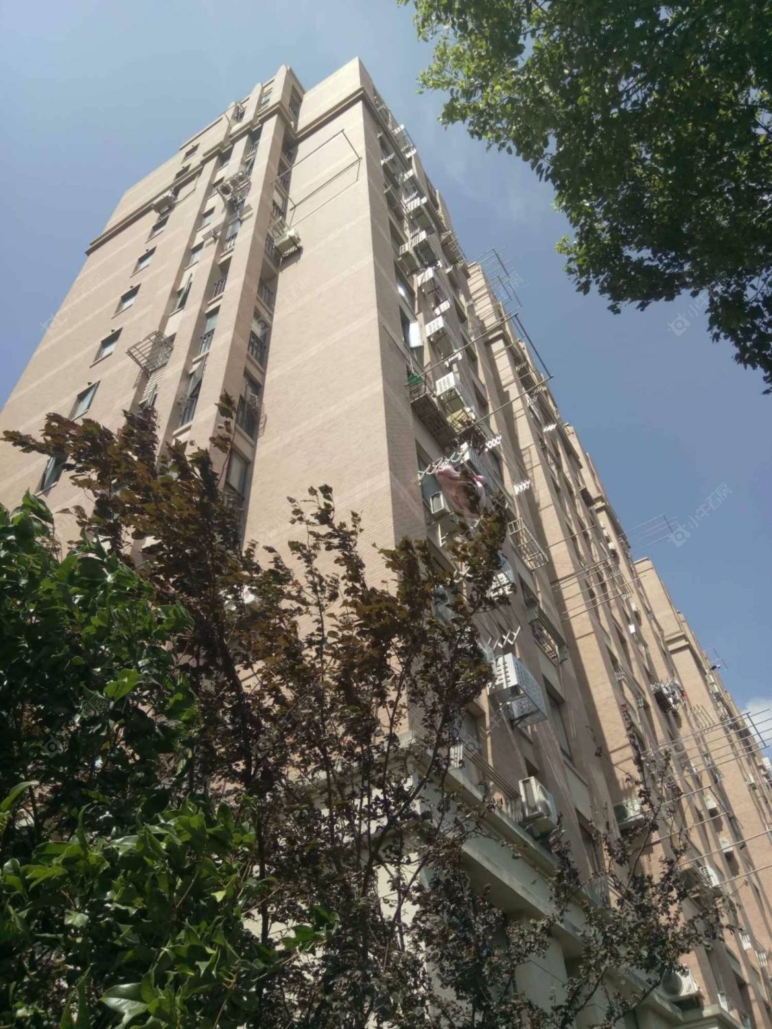 上海共康雅苑一期西区小区_共康雅苑一期西区小区null