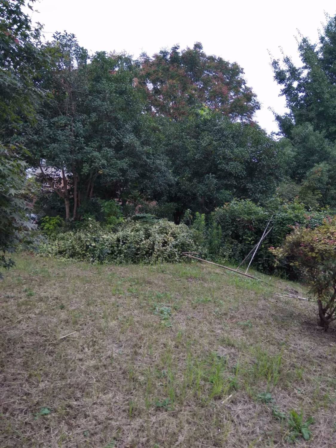 上海长海路137弄小区_长海路137弄小区null