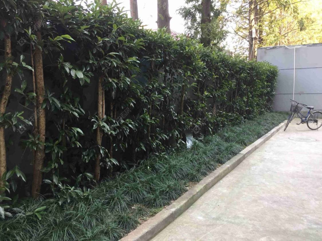 上海王桥街41弄小区_王桥街41弄小区null