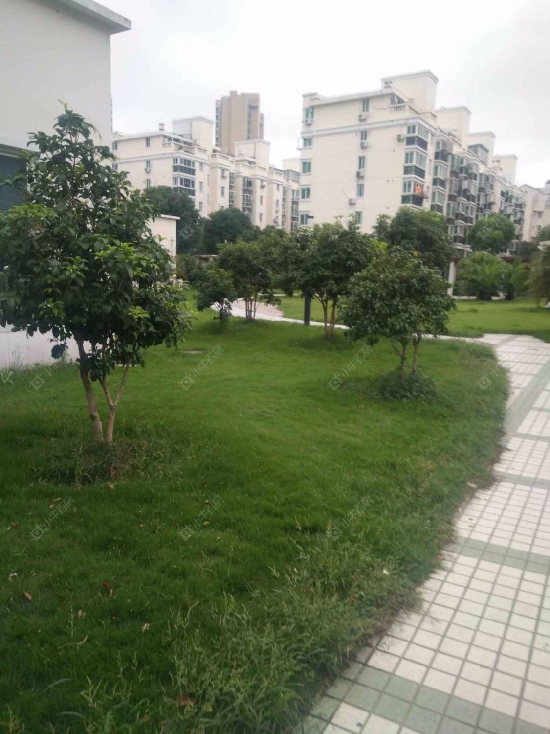 丽和苑封面图_小牛看房