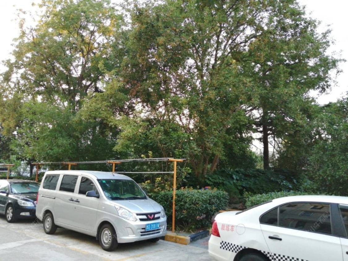 上海平顺路小区_平顺路小区null