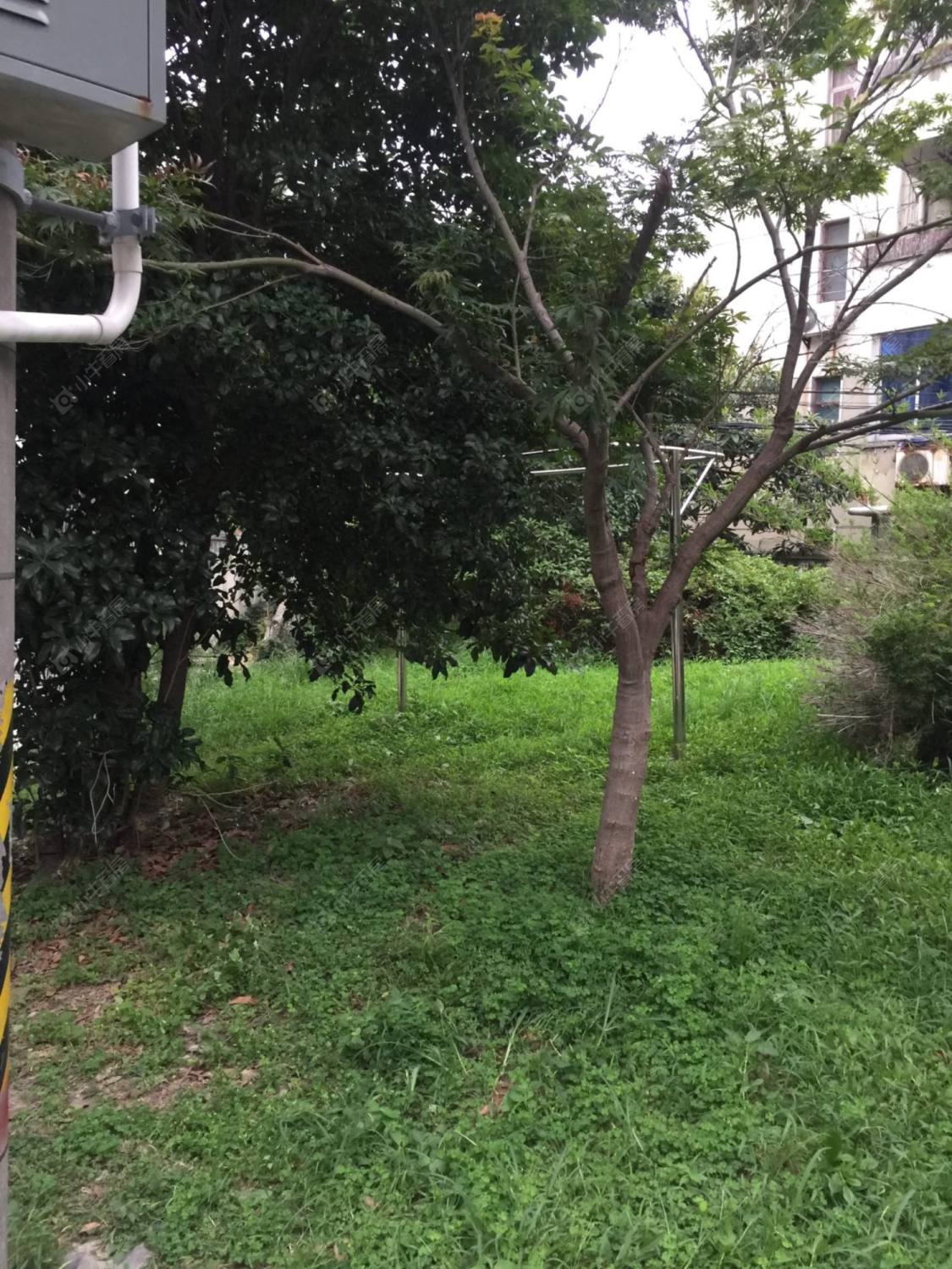 上海城东新村二区小区_城东新村二区小区null