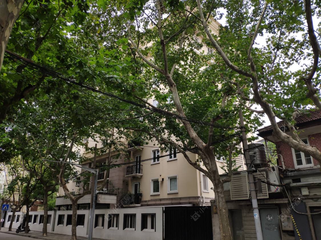 上海永嘉路477号小区_永嘉路477号小区实景图