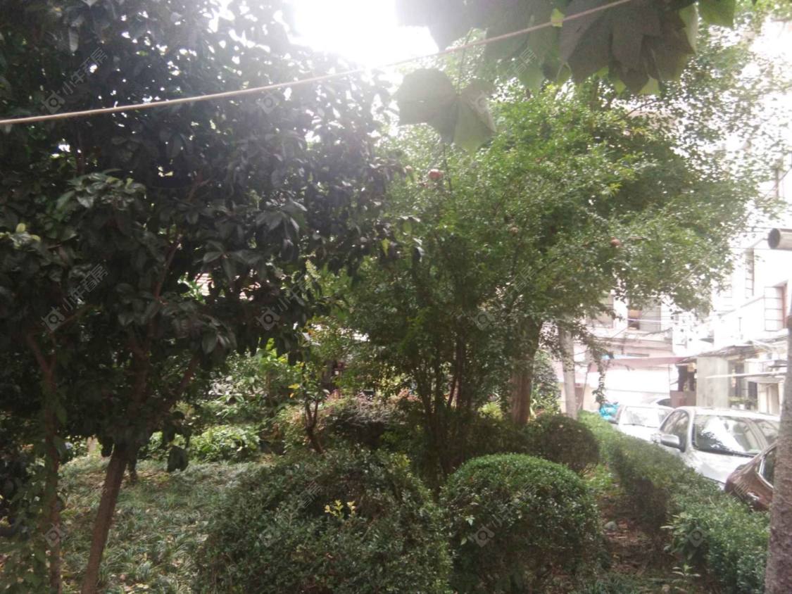 上海茂名南路24弄小区_茂名南路24弄小区null