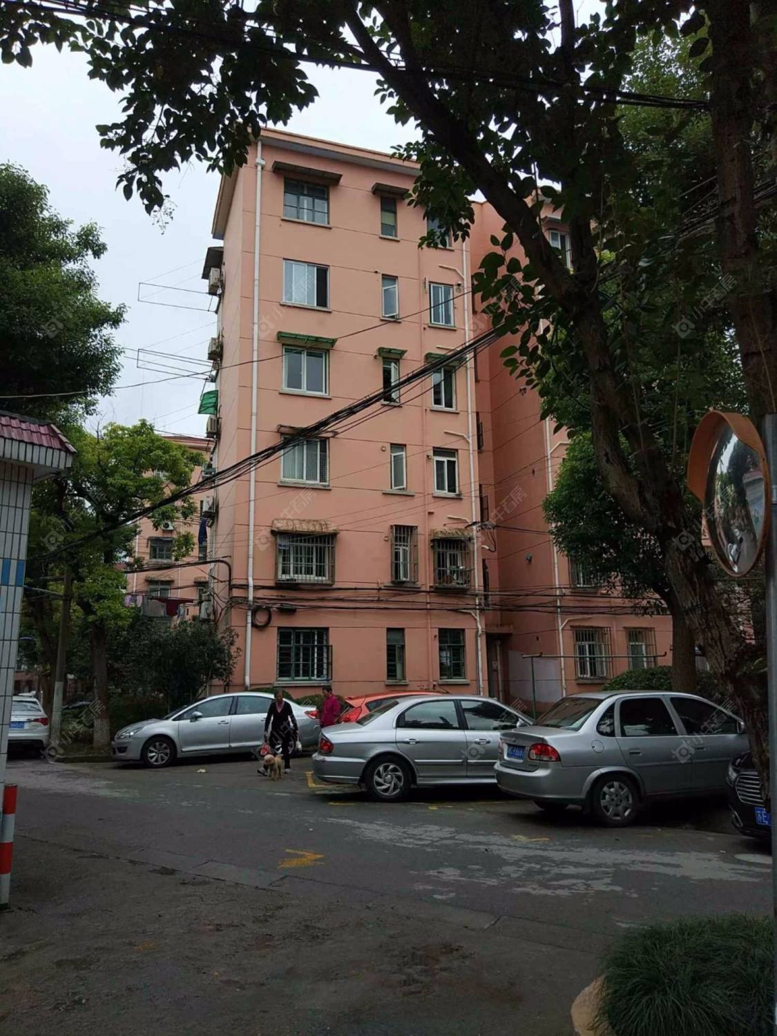 花苑村紫竹园封面图_小牛看房