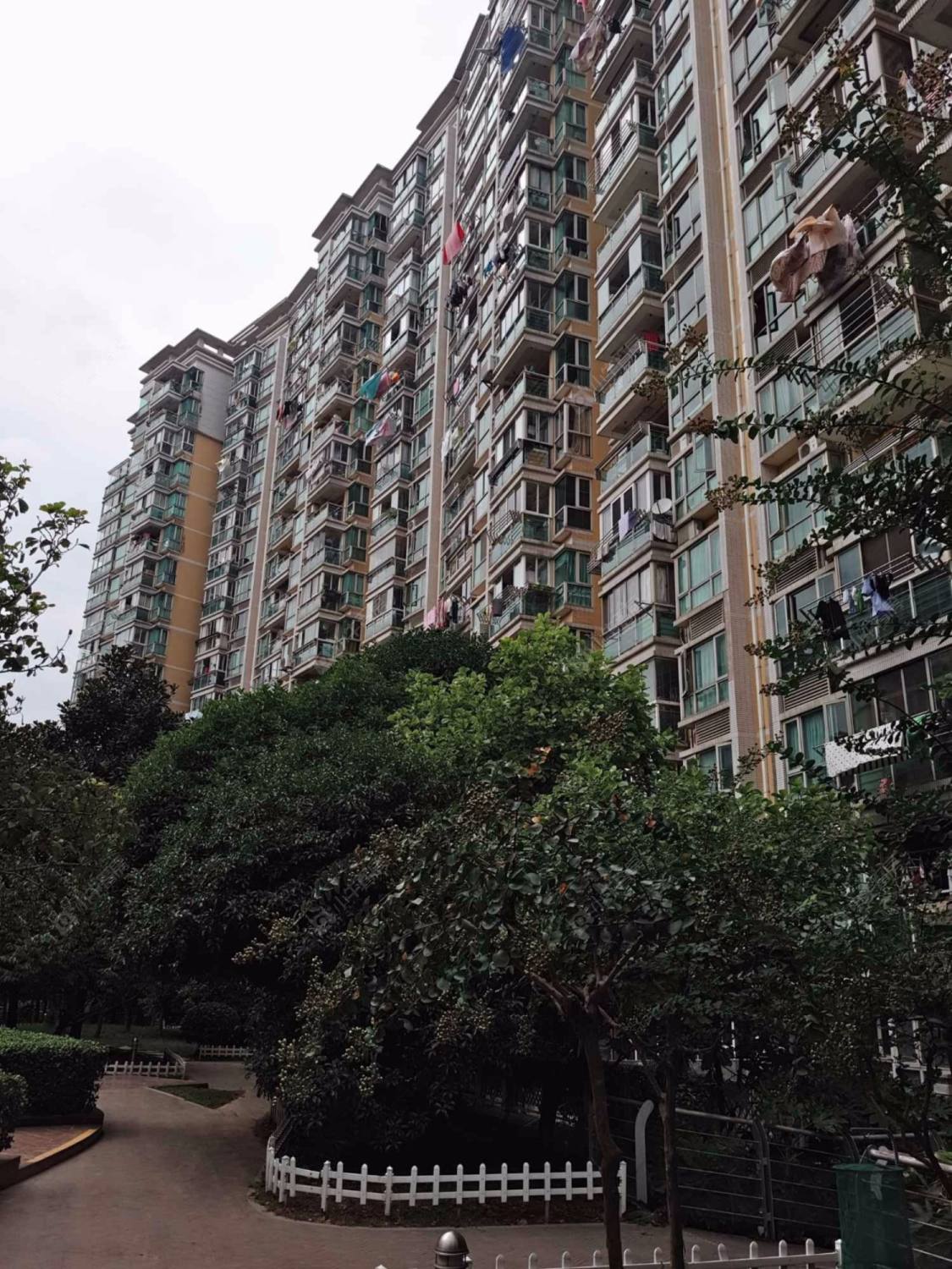 金沙雅苑舒诗康庭封面图_小牛看房