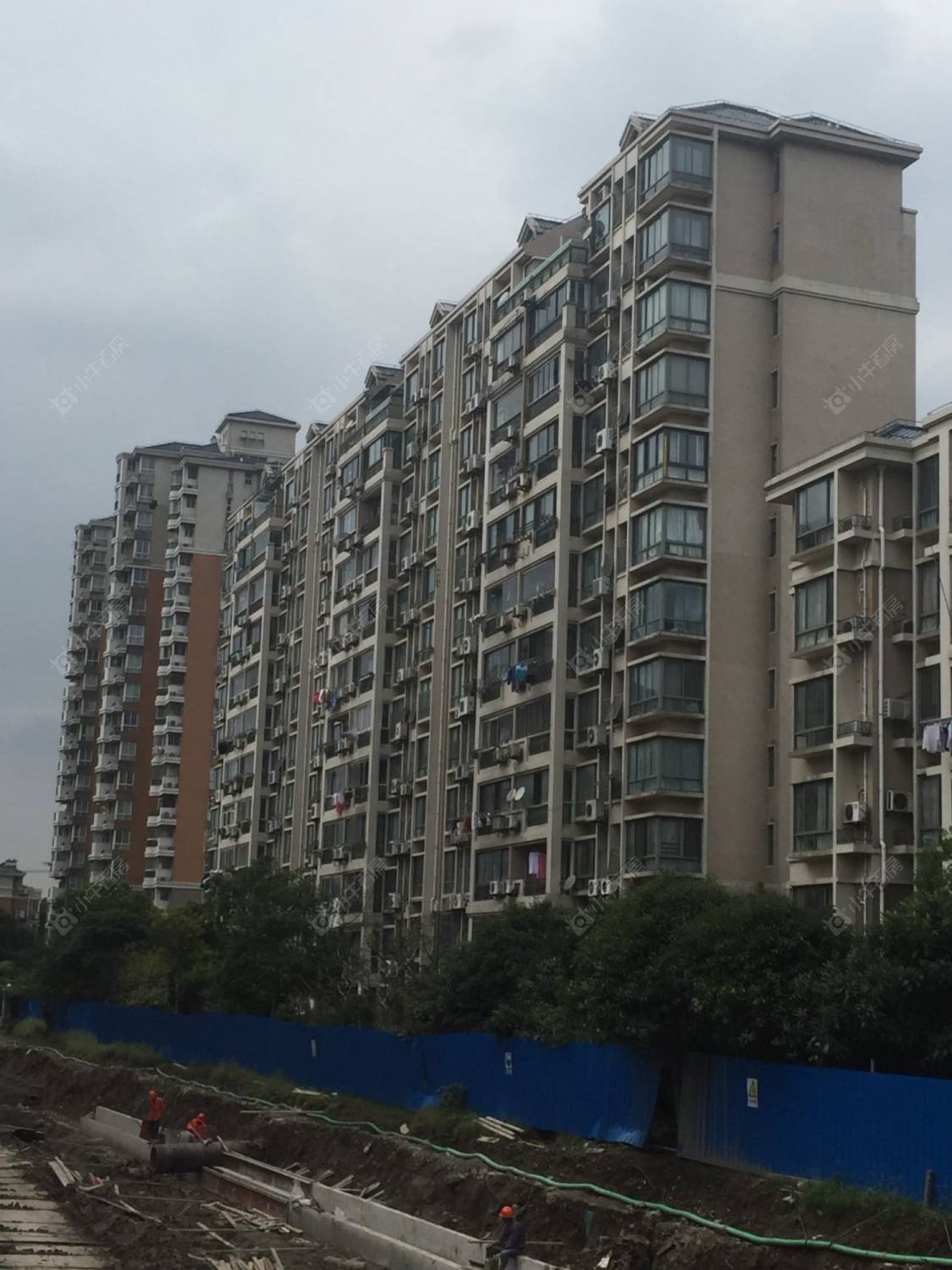 上海阳明国际花苑五期小区_阳明国际花苑五期小区null