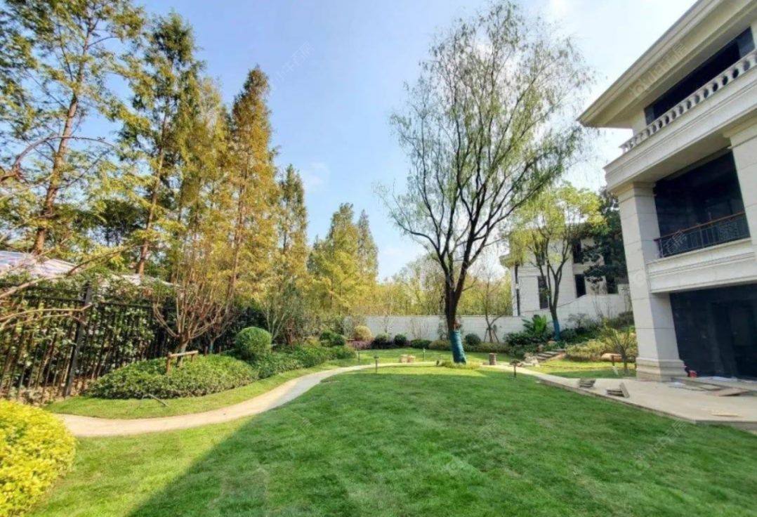 上海虹桥V16森林墅小区_虹桥V16森林墅小区null