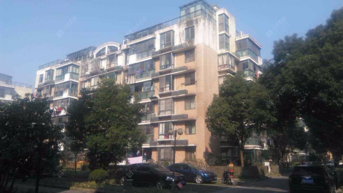 月夏香樟林封面图_小牛看房