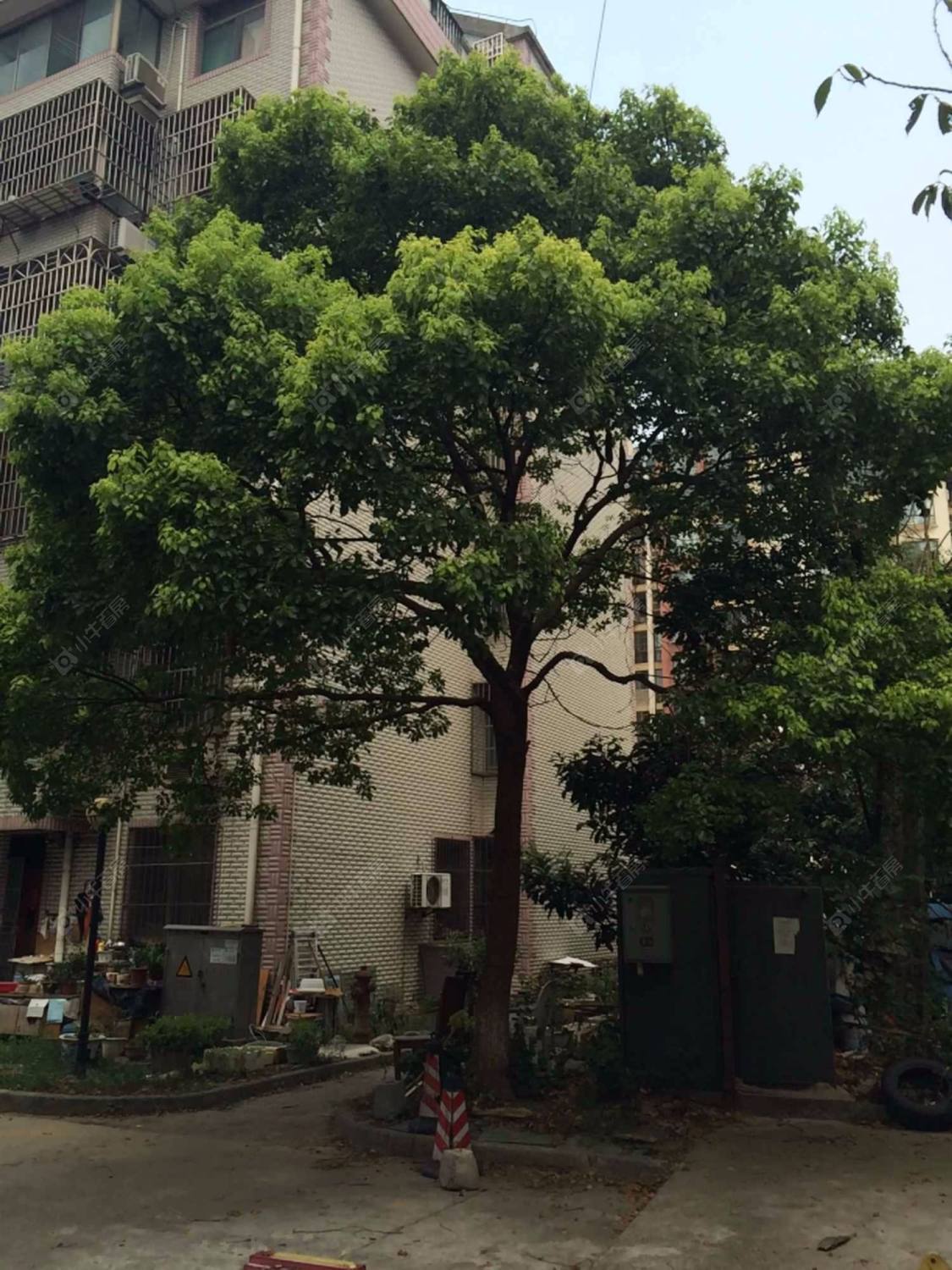 上海新发展公寓小区_新发展公寓小区null