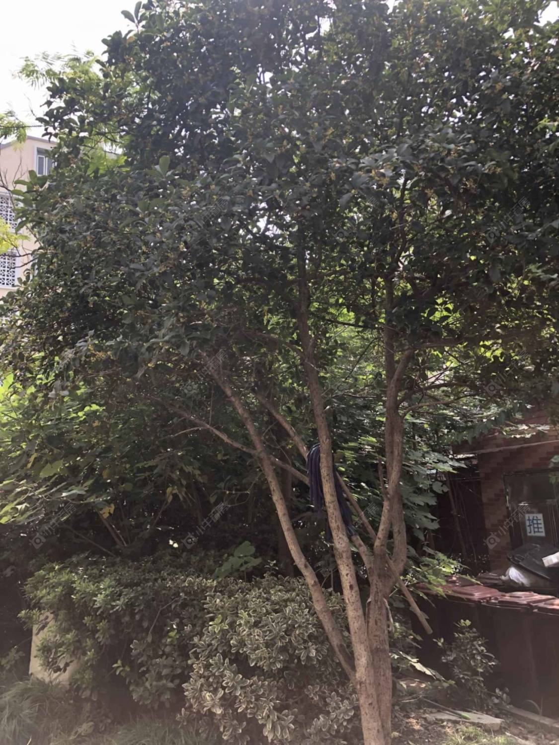 上海和新小区小区_和新小区小区null