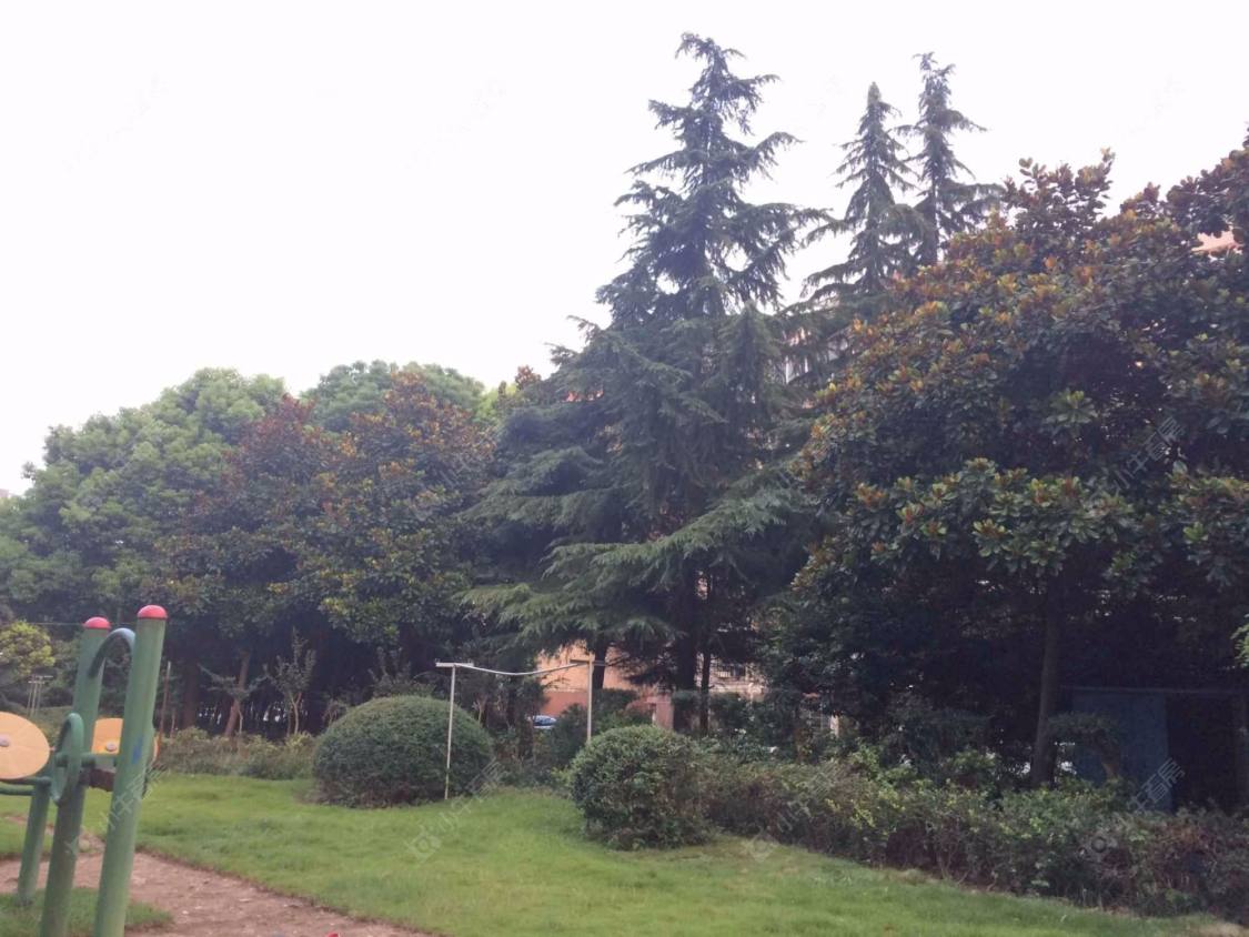 上海旺族家园小区_旺族家园小区null