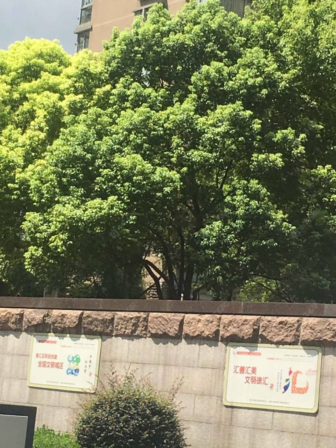 上海永新城小区_永新城小区null