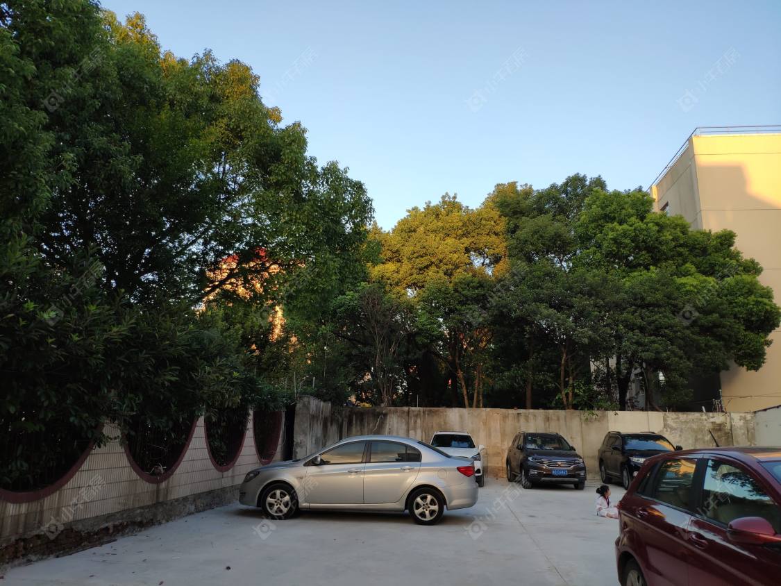 上海云台路265弄小区_小牛看房