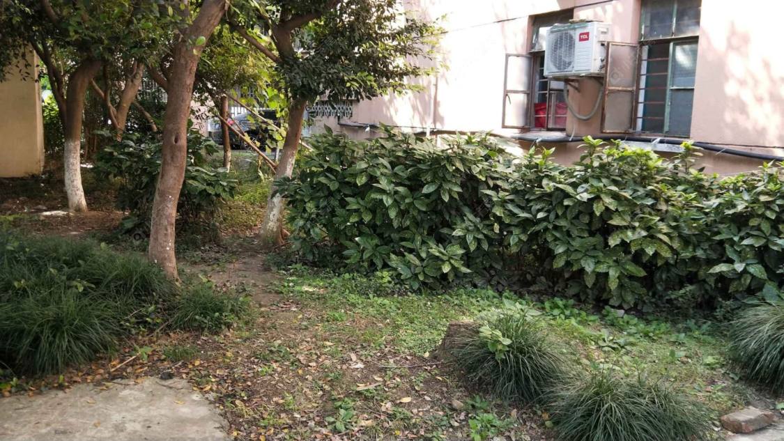 上海港机新村华丰路50弄小区_港机新村华丰路50弄小区null