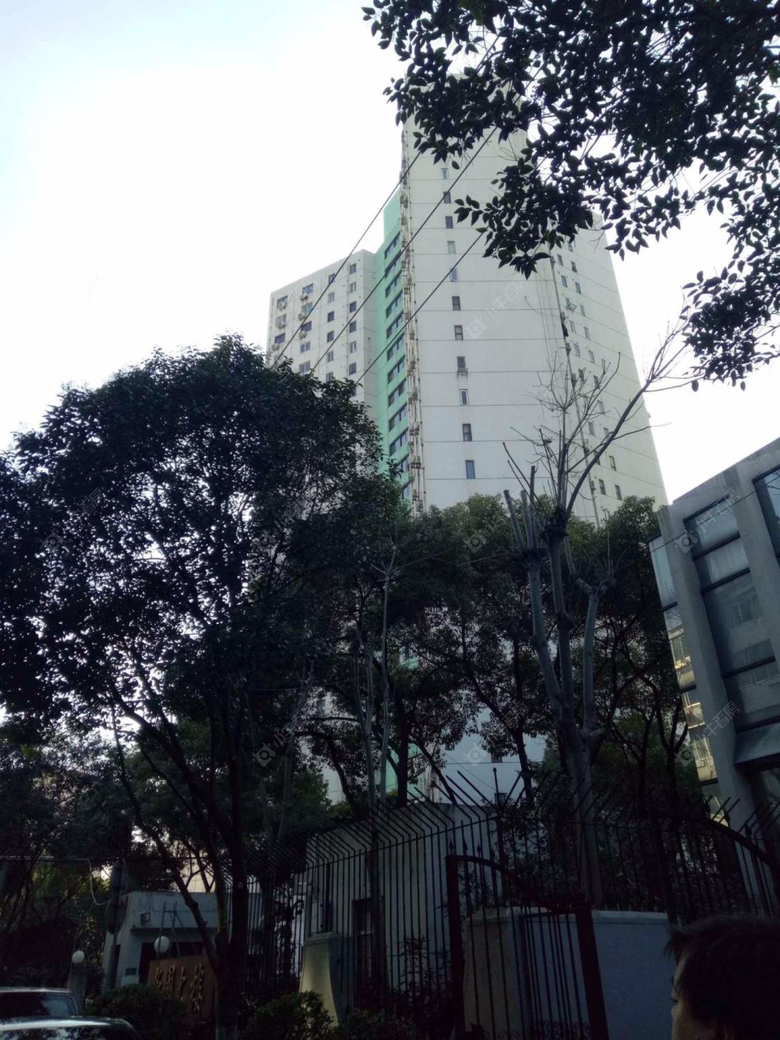 上海新园大楼小区_新园大楼小区null