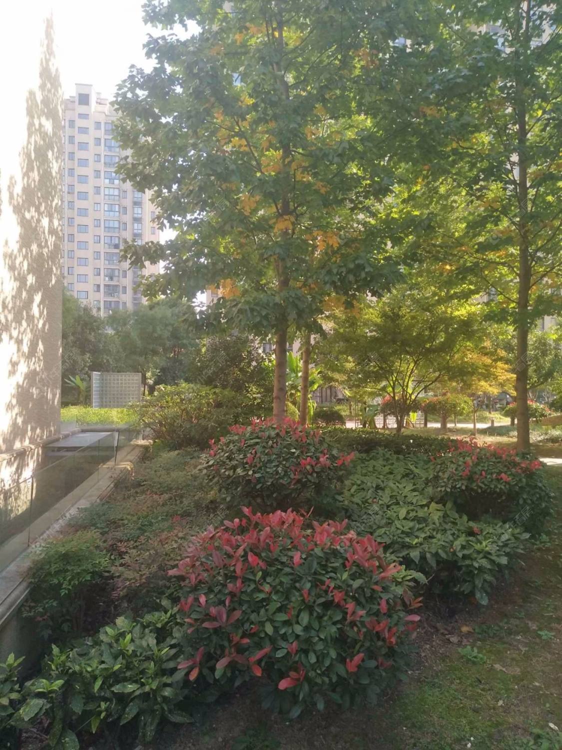 上海东润舒庭小区_东润舒庭小区实景图