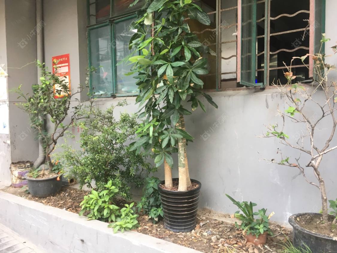 上海武进大楼小区_武进大楼小区实景图