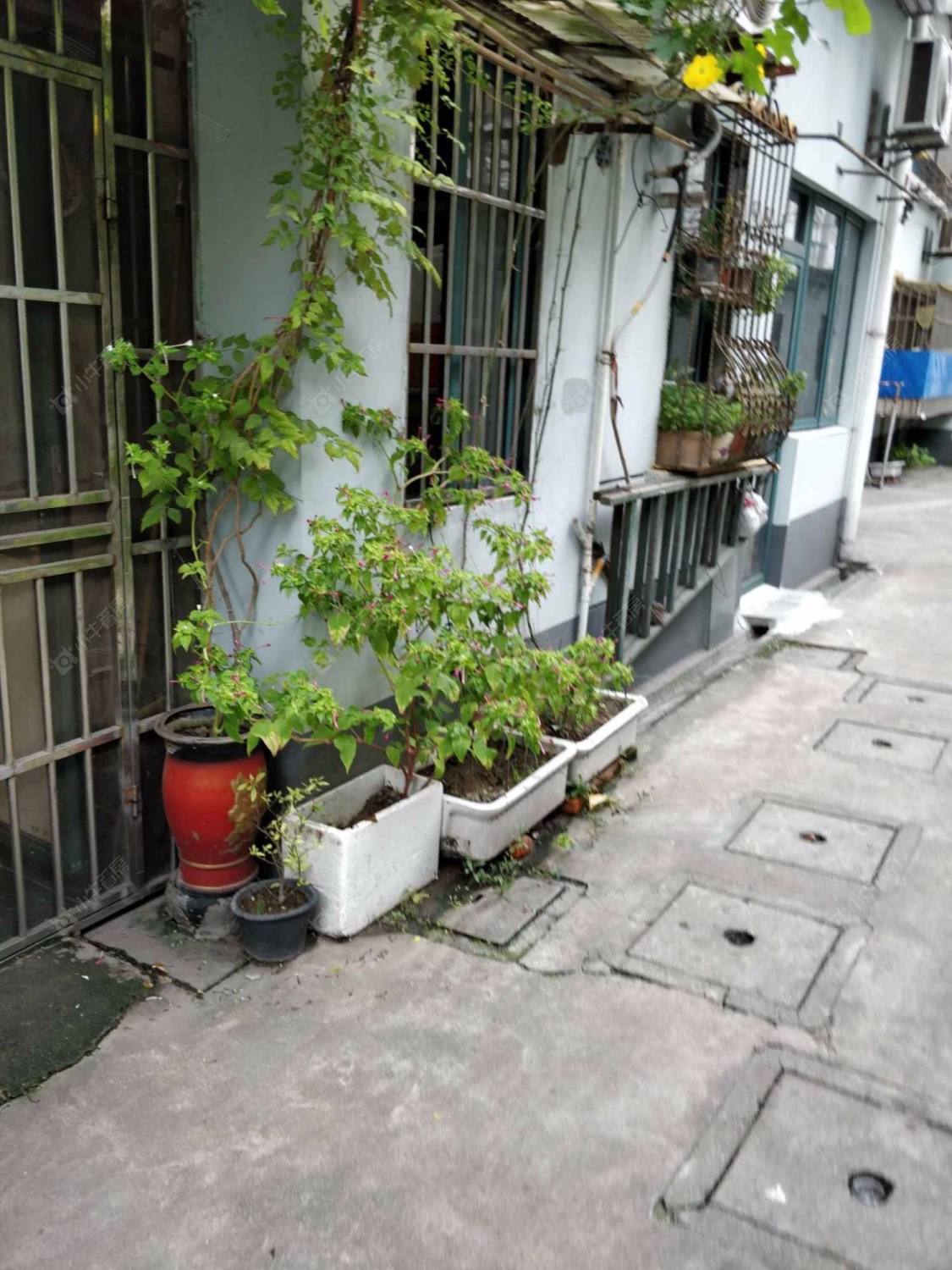 上海石油新村(虹口)小区_石油新村(虹口)小区null