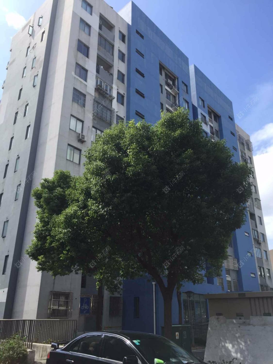 上海清风佳苑小区_清风佳苑小区null