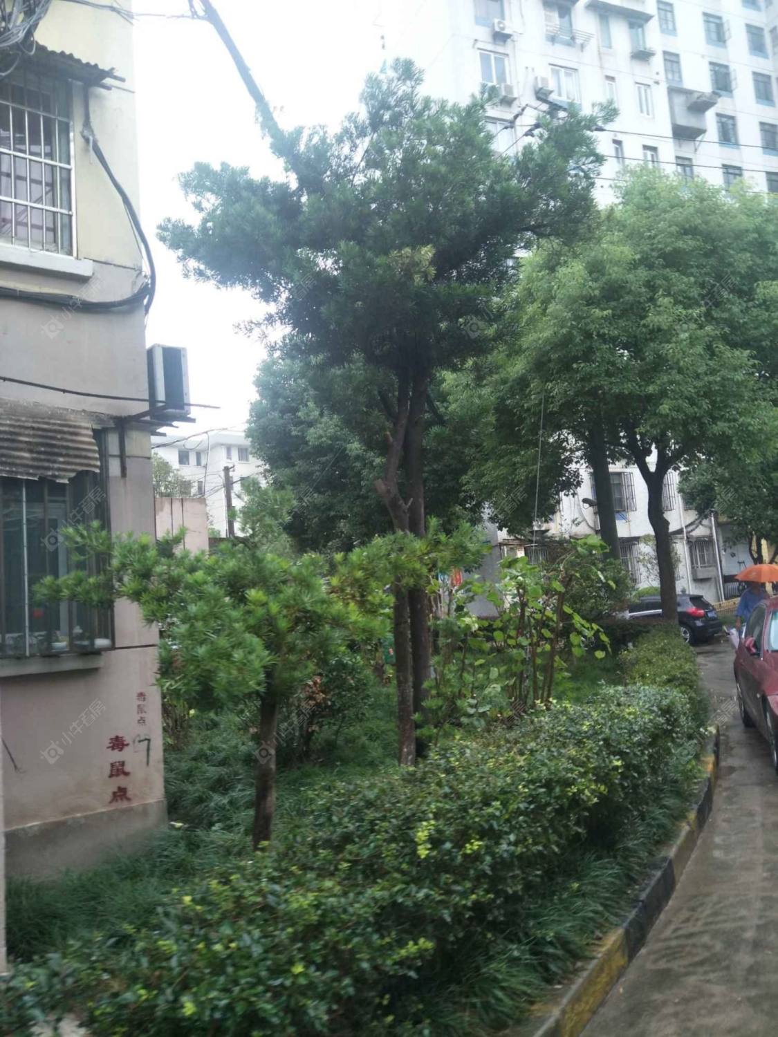 上海平顺路875弄小区_平顺路875弄小区null