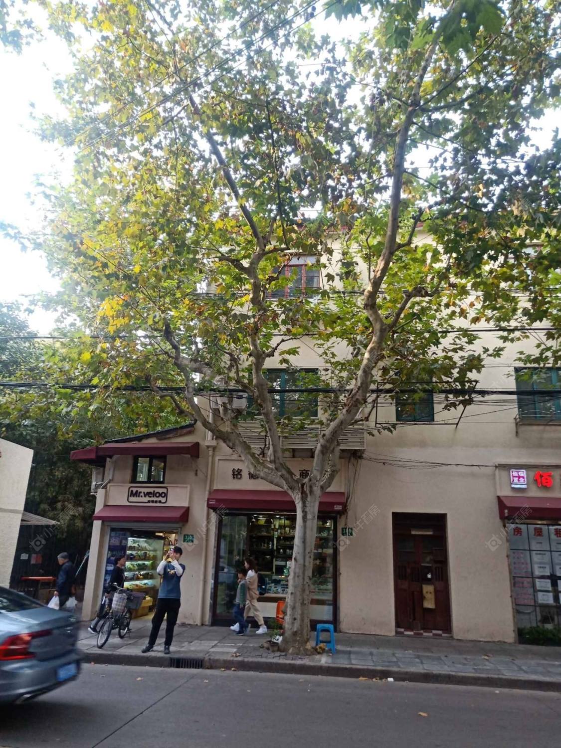 上海永嘉路310弄小区_小牛看房