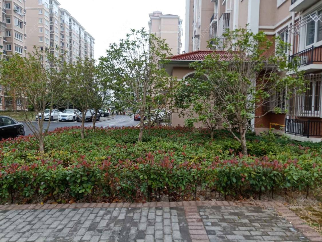 上海民乐城康苑小区_民乐城康苑小区null