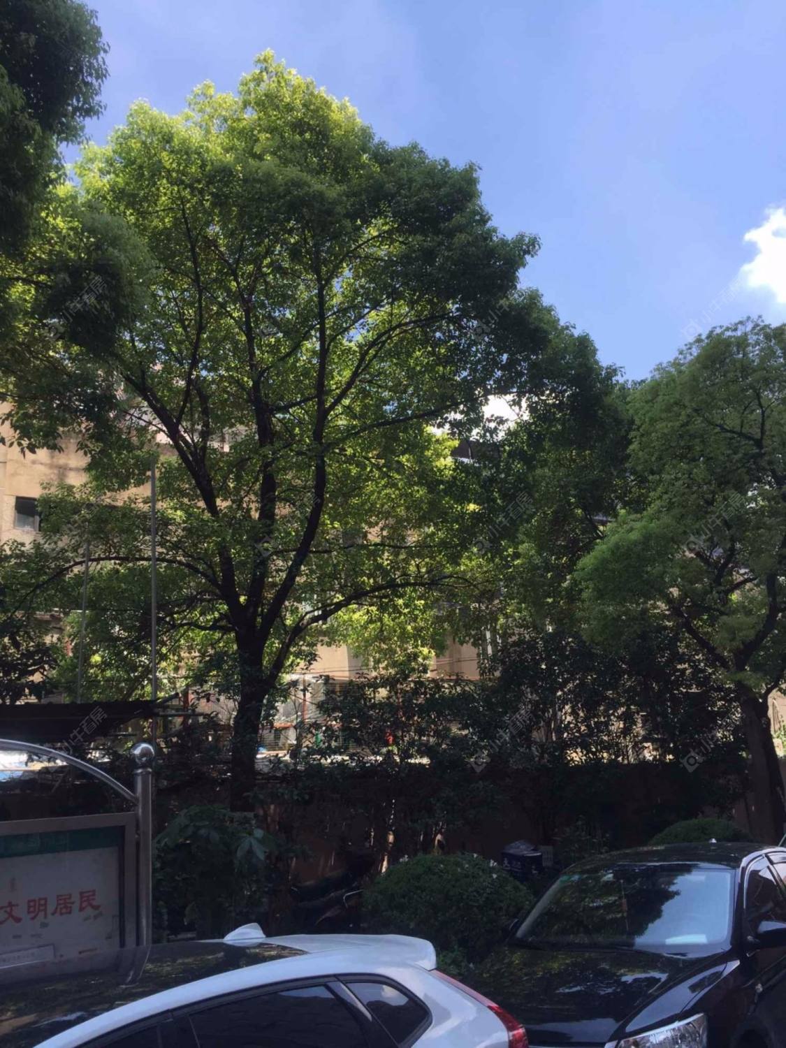 上海宝通公寓小区_宝通公寓小区null