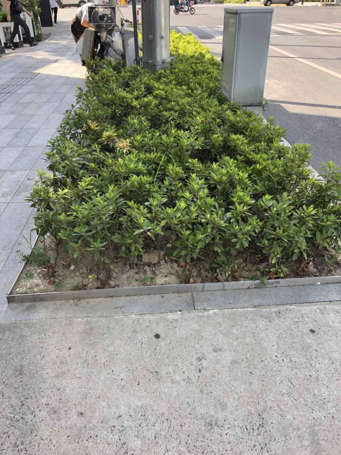 上海旅顺路小区_小牛看房