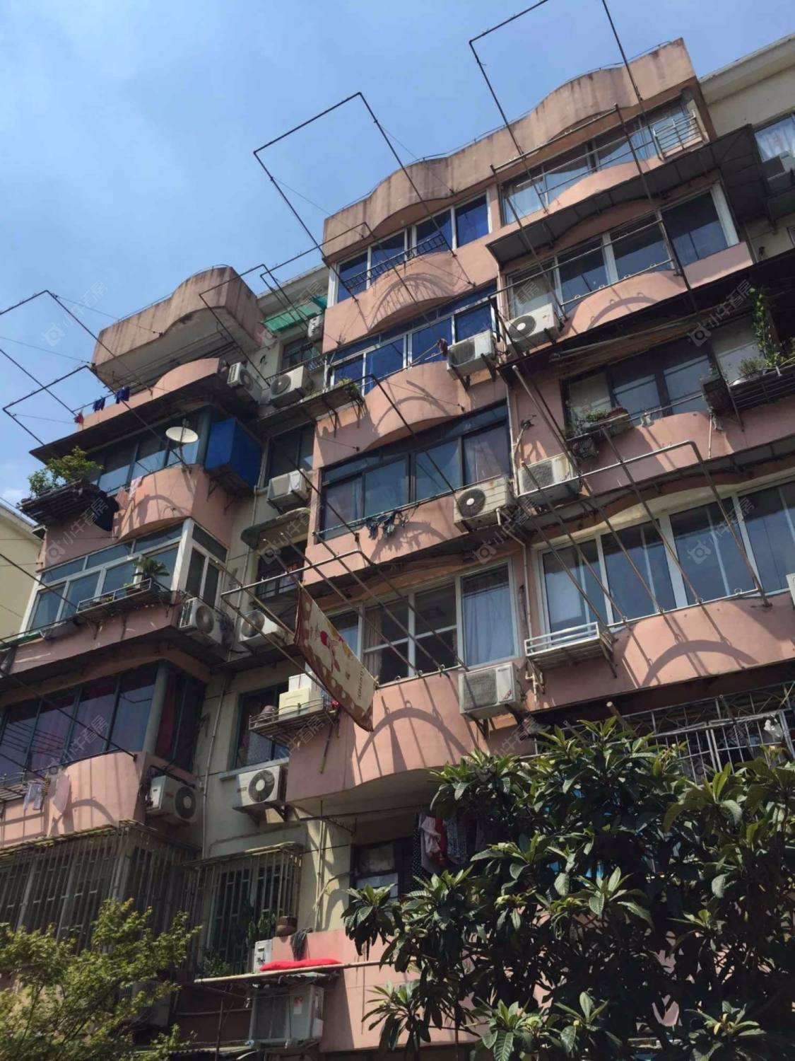 真光新村第五小区封面图_小牛看房