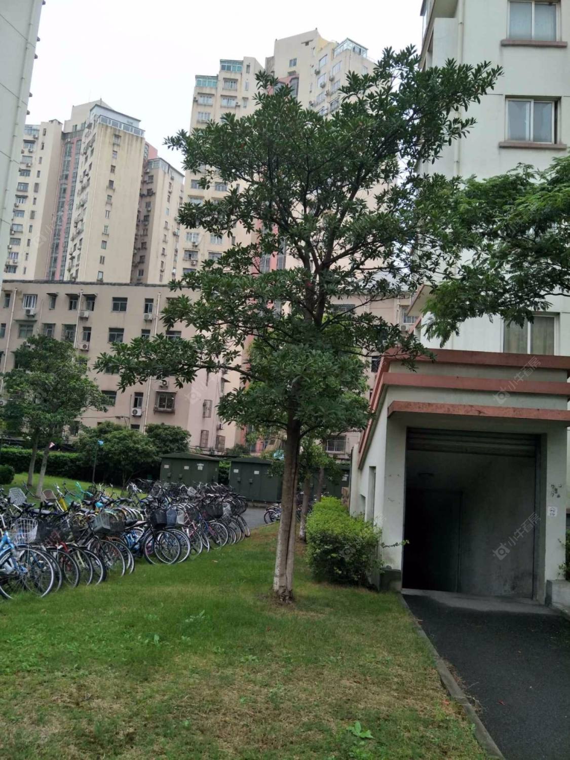 上海馨怡花园小区_馨怡花园小区null