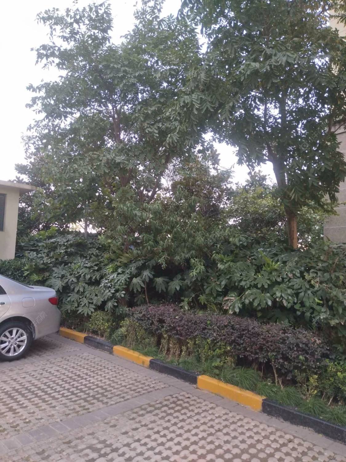 上海保利梧桐语小区_保利梧桐语小区null