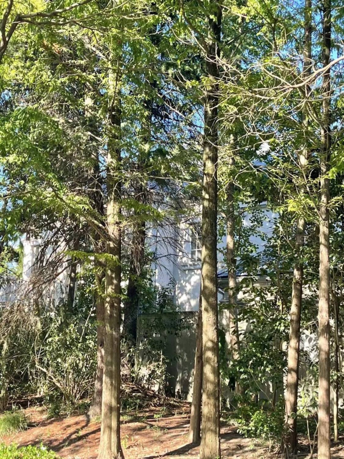 上海绿城玫瑰园小区_绿城玫瑰园小区null