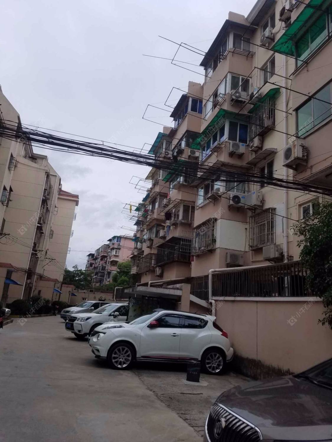 上海文新小区小区_小牛看房