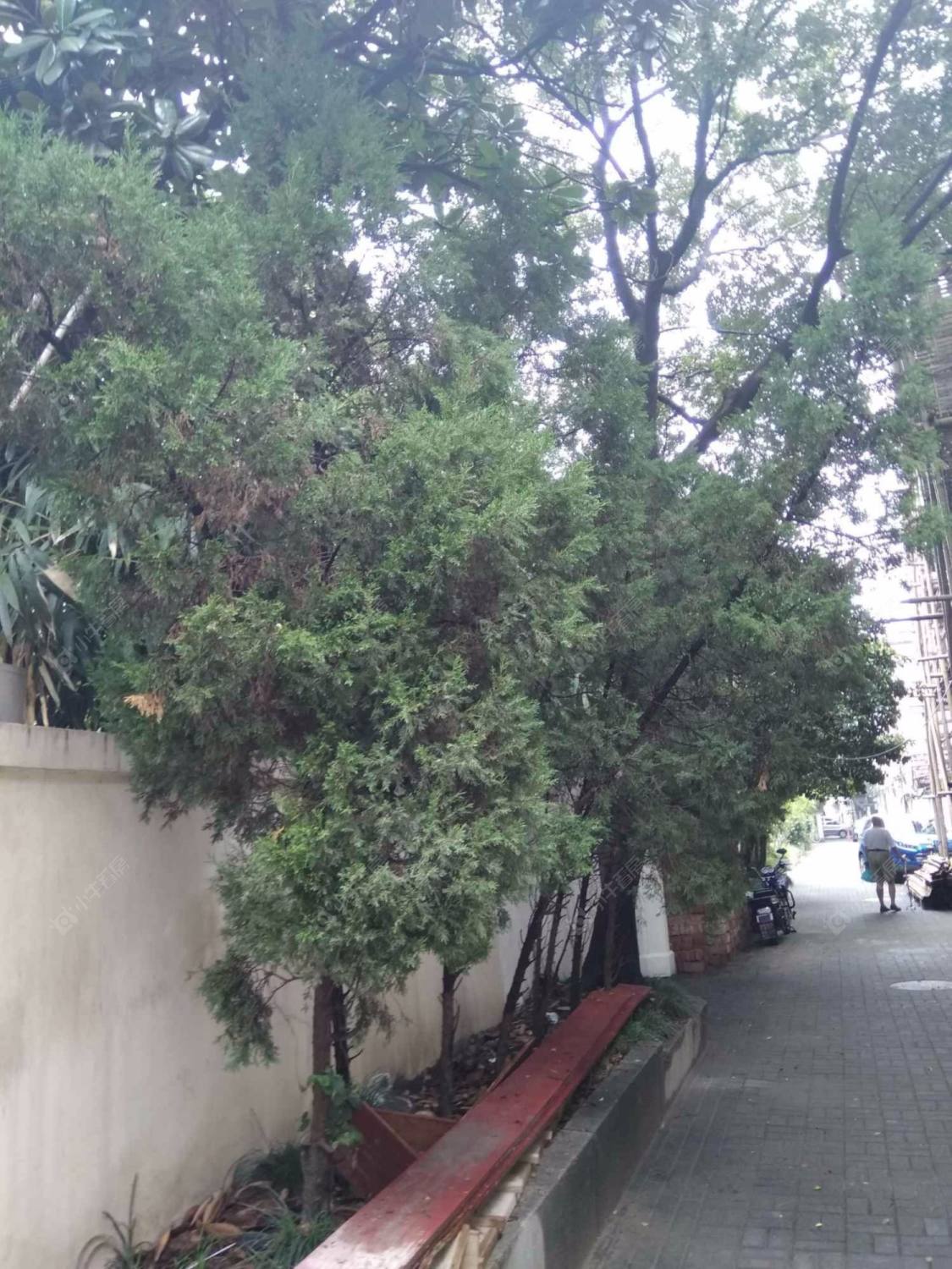 上海富民路210弄小区_富民路210弄小区null