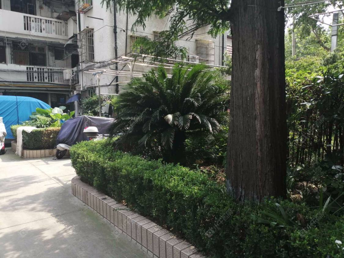 上海巨鹿路374弄小区_巨鹿路374弄小区null