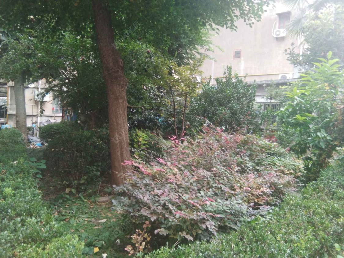 上海茂名南路24弄小区_茂名南路24弄小区null