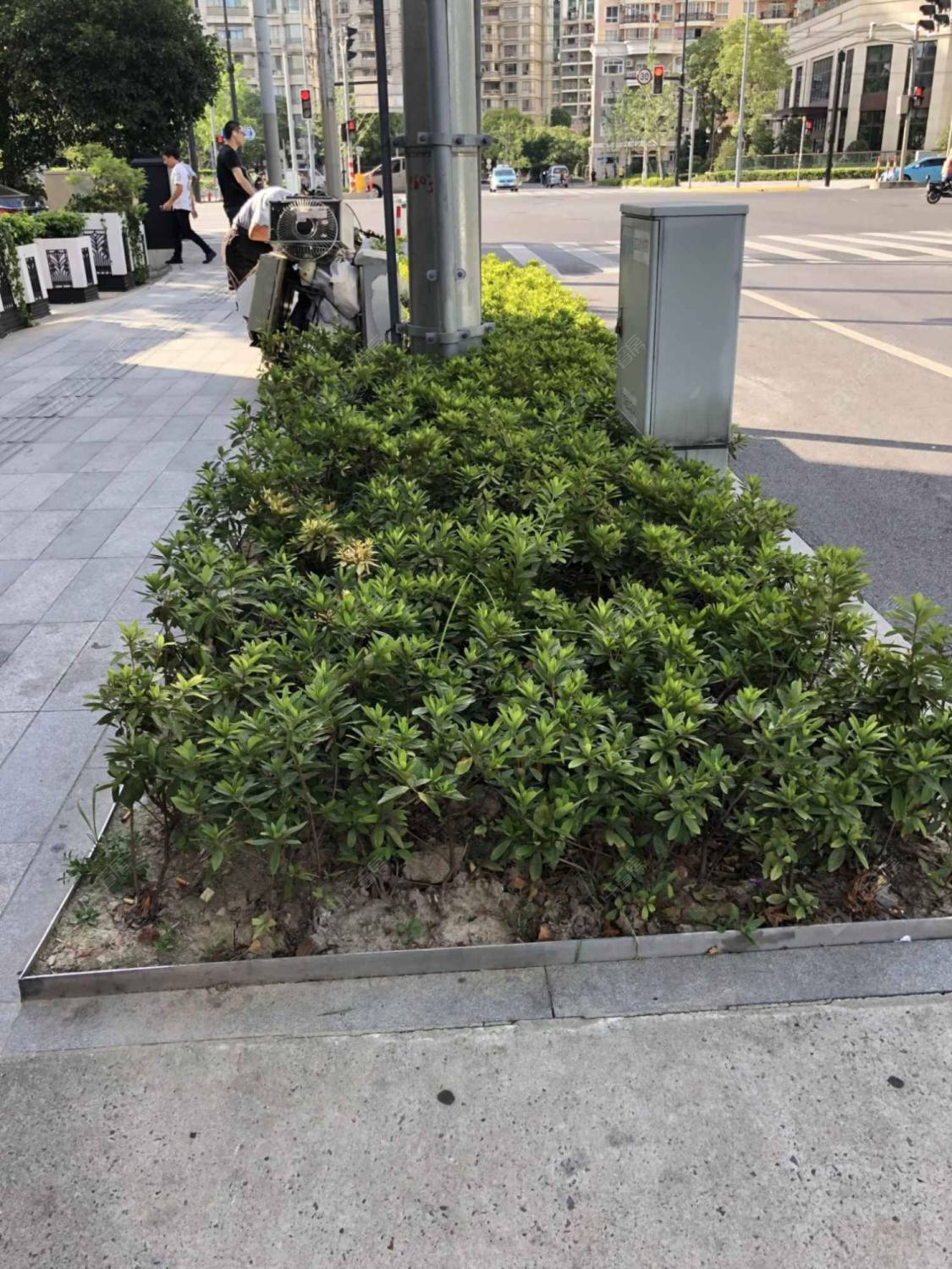 上海旅顺路小区_旅顺路小区null