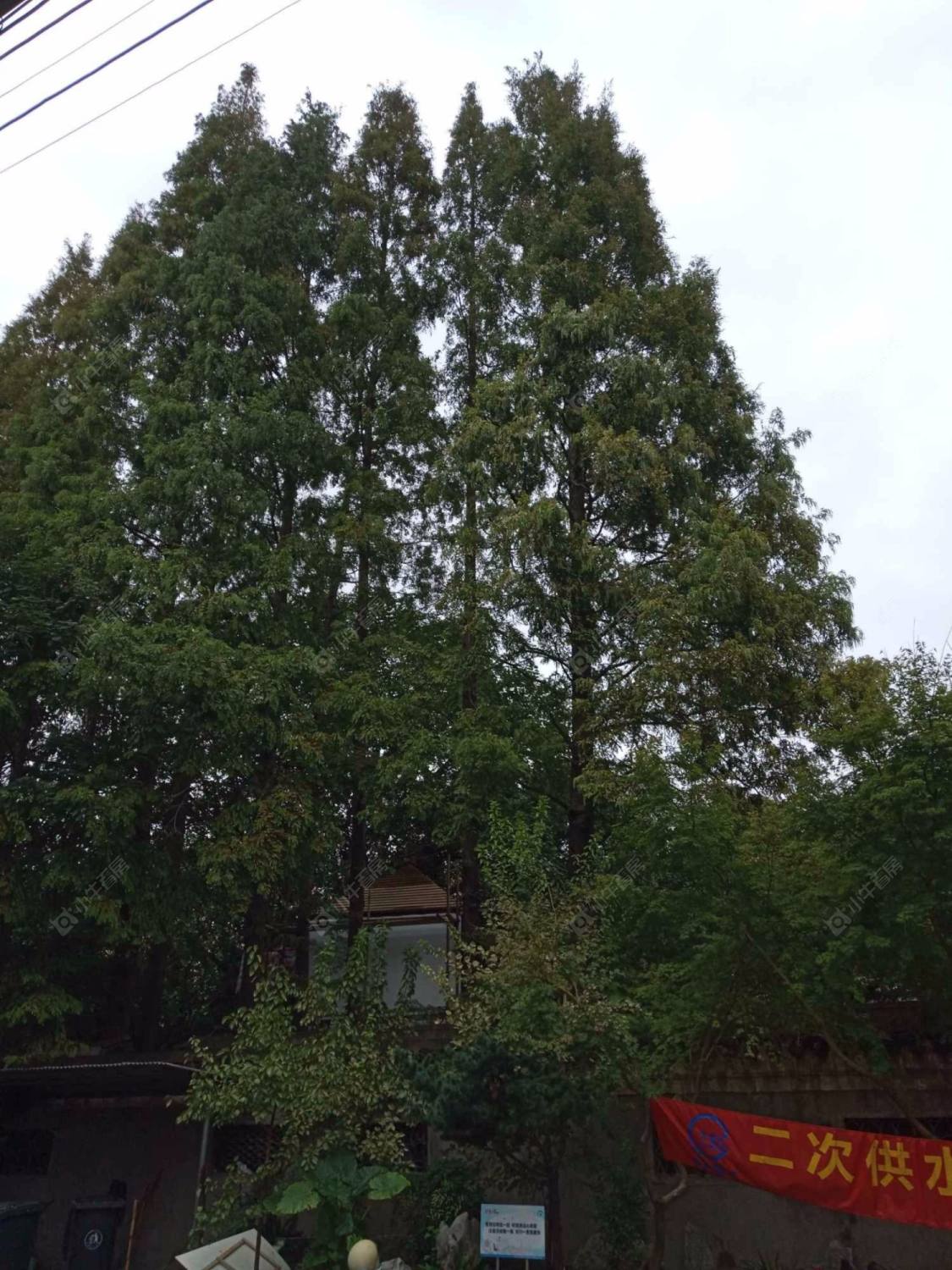 兰馨楼封面图_小牛看房