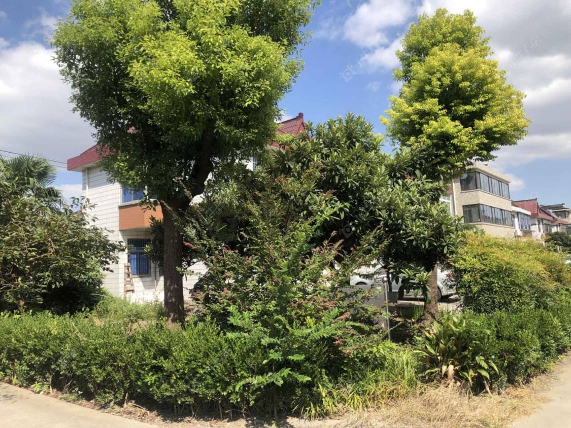 上海华庄中心村小区_华庄中心村小区null